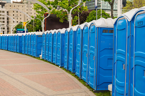 Best Portable Toilets with Baby Changing Stations  in Lakemore, OH